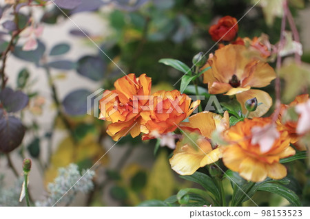 開滿花0057 98153523