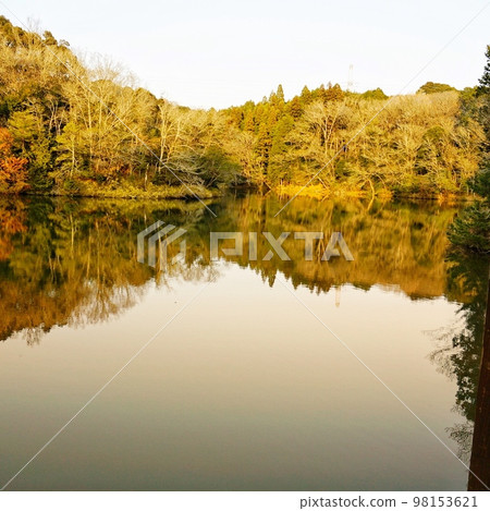 lake in nature 98153621