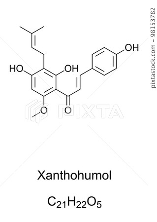Xanthohumol, chemical formula. Natural product found in blossoms of hops, Humulus lupulus. Also found in beer, belonging to a class of compounds, that contribute to the bitterness and flavor of hops. 98153782