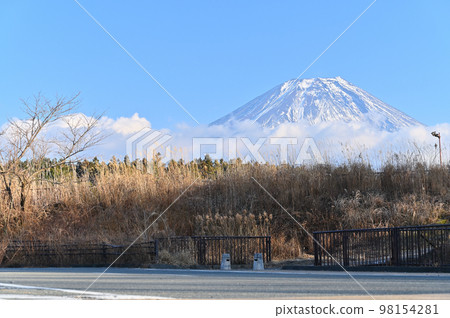 Mount Fuji seen from Narusawa Village, Narusawa Village, Minamitsuru District, Yamanashi Prefecture Mount Fuji seen from Narusawa Village, Narusawa Village, Minamitsuru District, Yamanashi Prefecture 98154281