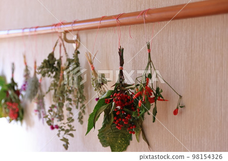 Dried flowers 0009 Dried flowers 0009 98154326