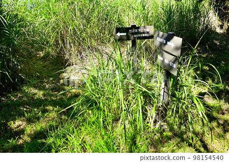 Mt. Asahi in the Doshi Mountains Akiyama Pass in summer 98154540