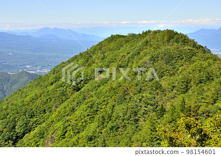 夏日從土子山木野上眺望尺子山 夏日從土子山木野上眺望尺子山 98154601
