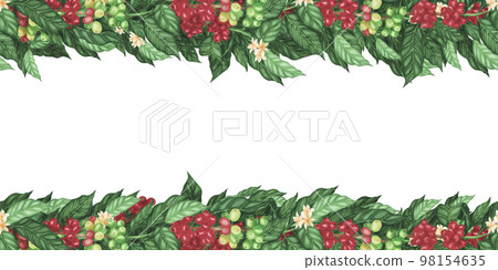 Seamless Border red coffee arabica beans and flowers on branch isolated on white. Watercolor hand drawn llustration 98154635
