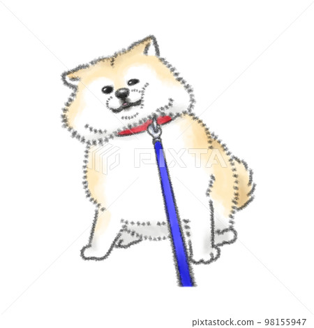 拒絕走路的狗 98155947