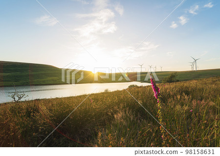 Wind farm and a lake at sunset. Natural clean energy, environmental conservation concept. Upper Lliw reservoir from Brynllefrith Plantation, Wales, the United Kingdom. Using wind power in the UK 98158631