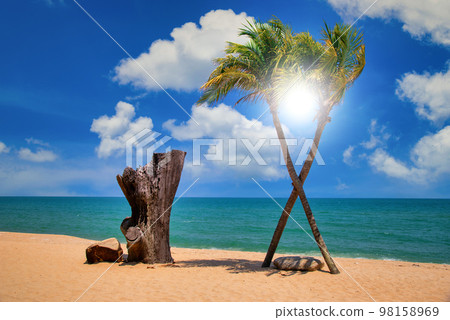 Two coconut palm tree cross on the tropical beach at daytime 98158969