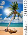 Coconut palm trees on beach and blue sky with cloud background. 98158970