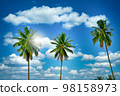 Coconut palm trees on beach and blue sky with cloud background. 98158973