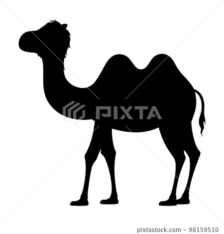 Bactrian camel illustration_silhouette 98159510