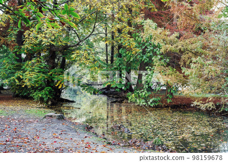 An artificial pond surrounded by trees during fall at Sempione city park in Milan, Italy. An artificial pond surrounded by trees during fall at Sempione city park in Milan, Italy. 98159678