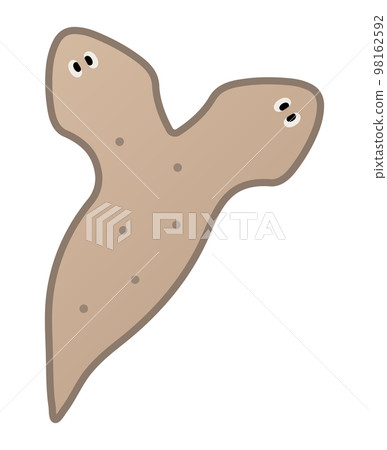 planaria planaria 98162592