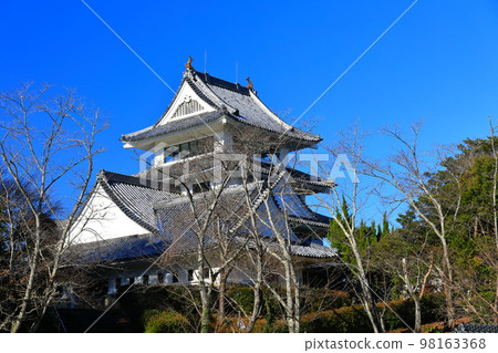 [Tokushima Prefecture] Wasa Castle on a sunny day 98163368