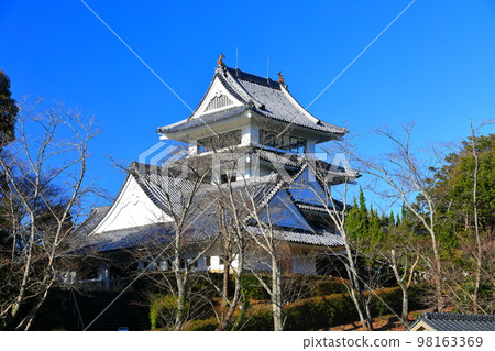 [Tokushima Prefecture] Wasa Castle on a sunny day 98163369