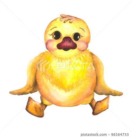 Watercolor baby illustration with ducklings. Duckling. The yellow duckling, watercolor illustration isolated on white background 98164733