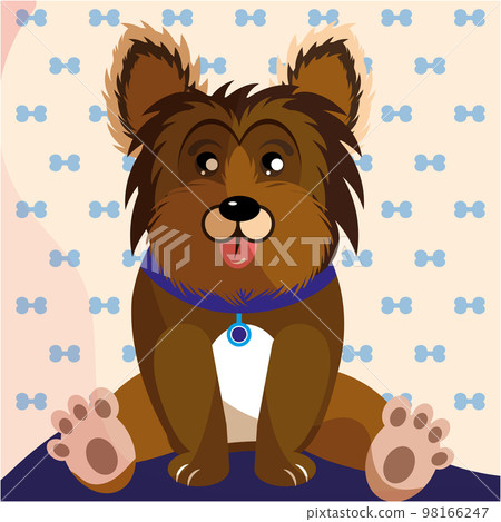Isolated cute hairy dog cartoon character Vector 98166247