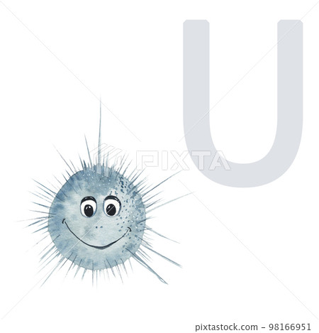 Letter U, urchin, cute kids animal ABC alphabet. Watercolor illustration isolated on white background. Can be used for alphabet or cards for kids learning English vocabulary and handwriting. 98166951