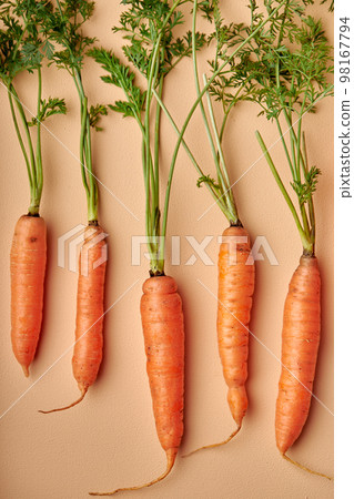 bunch of ripe fresh carrots with leaves isolated on pastel orange background. 98167794