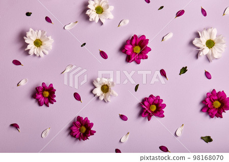 Beautiful flowers composition. chrysanthemums pattern, spring and summer flowers on pink 98168070