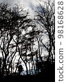 Autumnal leaves forest 98168628