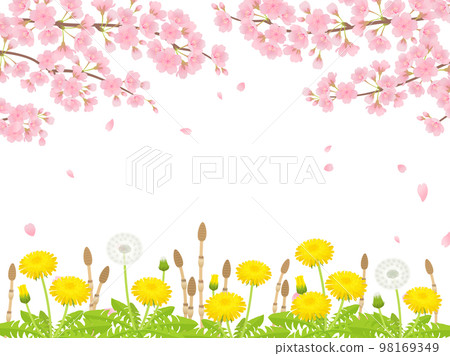 Background frame of cherry blossoms, dandelions and horsetails in full bloom 98169349