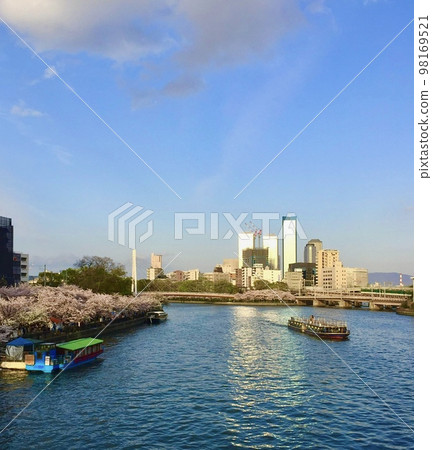 Scenery of sightseeing boats floating on the Okawa River, colored by cherry blossoms in full bloom on both banks and reflecting the blue sky, Temmabashi, Osaka Scenery of sightseeing boats floating on the Okawa River, colored by cherry blossoms in full bloom on both banks and reflecting the blue sky, Temmabashi, Osaka 98169521