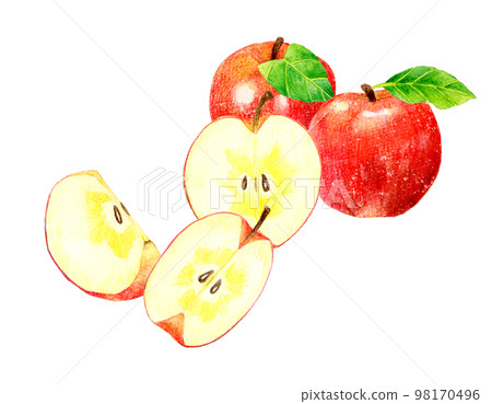 A set of red apples and cut apples Fruit hand-painted watercolor illustration material 98170496