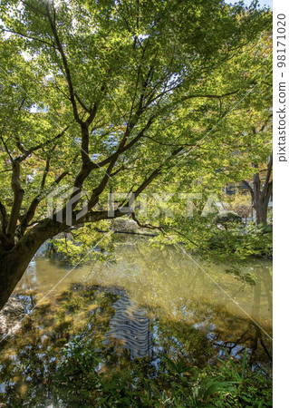 Shimizudani Park, Kioicho, Chiyoda-ku, Tokyo, summer 98171020