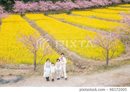 油菜花和櫻花盛開,壯觀的景色讓人想和家人一起去 油菜花和櫻花盛開,壯觀的景色讓人想和家人一起去 98172005