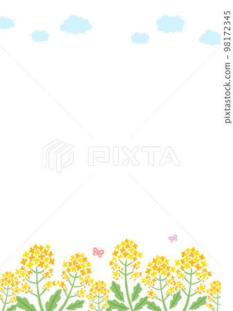 油菜花和天空背景圖 98172345