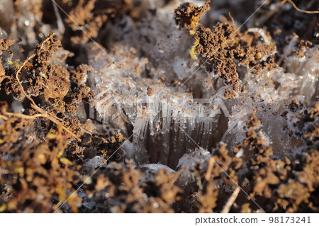 frost pillar frost pillar 98173241