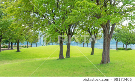 Park with green 98173406