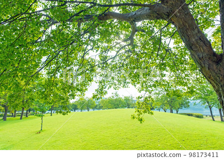 公園與綠色 公園與綠色 98173411