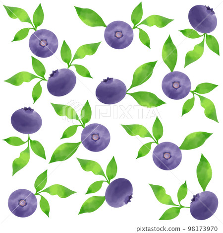 Delicious blueberry seamless pattern material 98173970