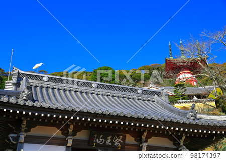 [德島縣]晴天時的藥王寺的遊戲塔和仁王門（平佐） 98174397