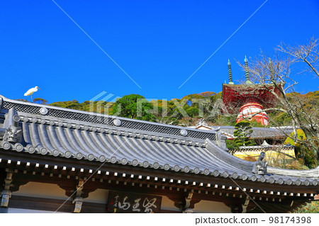 [Tokushima Prefecture] Yugi Pagoda and Niomon Gate of Yakuoji Temple in sunny weather (Hiwasa) 98174398