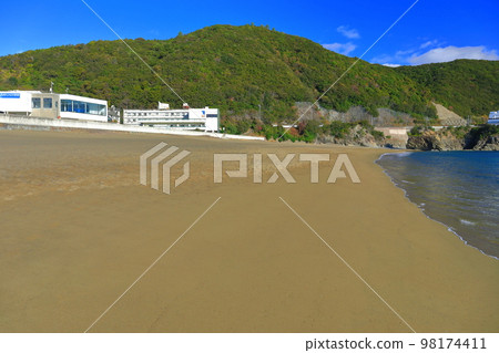 [Tokushima Prefecture] Sea Turtle Spawning Landing (Hiwasa Ohama Beach) 98174411