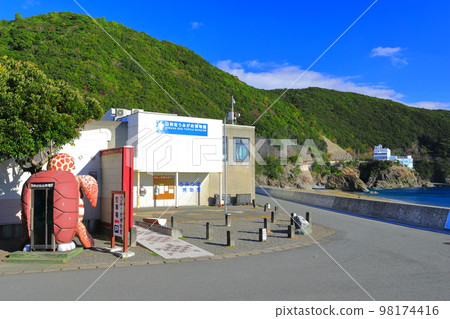 [德島縣] Hiwasa 海龜博物館 Caretta（大濱海灘） 98174416