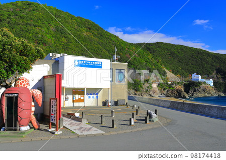 [Tokushima Prefecture] Hiwasa Sea Turtle Museum Caretta (Ohama Beach) 98174418