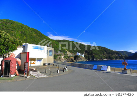 [德島縣] Hiwasa 海龜博物館 Caretta（大濱海灘） 98174420