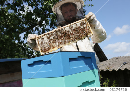 Bee keeper in uniform standing holding honeybee frame near beehive. 98174736