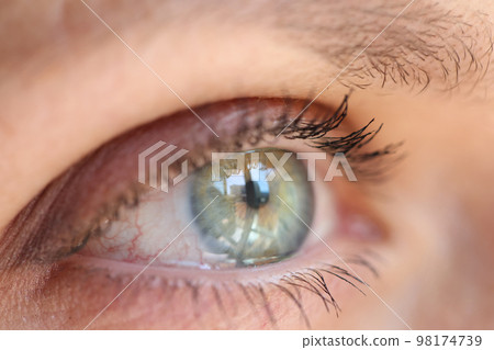 Green iris shot with reflection from window. 98174739