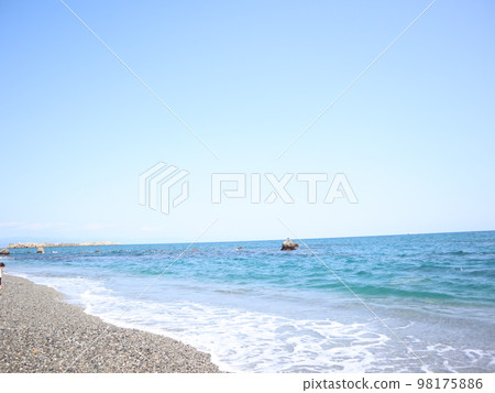 Katsurahama 202205 (18) Katsurahama 202205 (18) 98175886