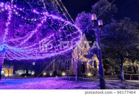 Christmas tree at Doshisha University, Kyoto Christmas tree at Doshisha University, Kyoto 98177464