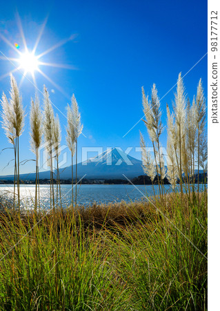 日本山梨縣河口湖鎮在晴朗的冬季天氣下透過蒲葦看到的富士山風景 98177712