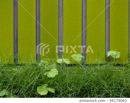 Green wall with straight stripes and grass. 98178063