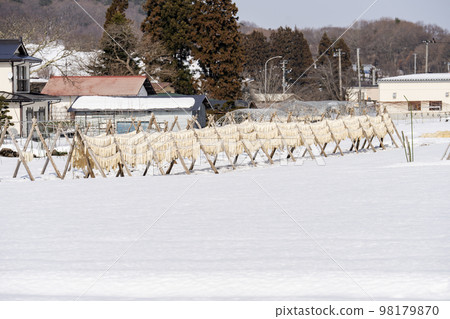 山形縣山形市雪原上曬乾的大量蘿蔔 山形縣山形市雪原上曬乾的大量蘿蔔 98179870