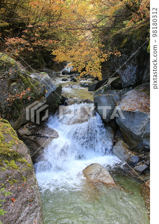 A clear stream flowing through the autumn colors of the valley A clear stream flowing through the autumn colors of the valley 98180312