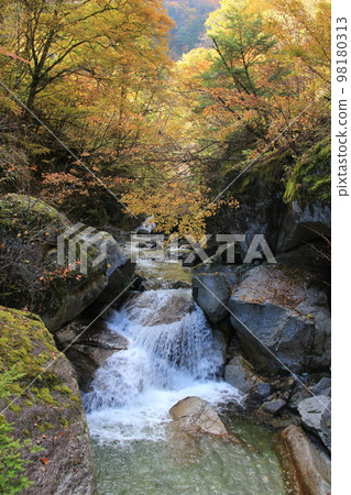 一條清澈的溪流流過山谷的秋色 一條清澈的溪流流過山谷的秋色 98180313