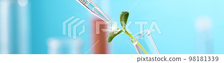 Green sprout in a chemical test tube and a chemical pipette with a drop of a transparent liquid on a blue background 98181339